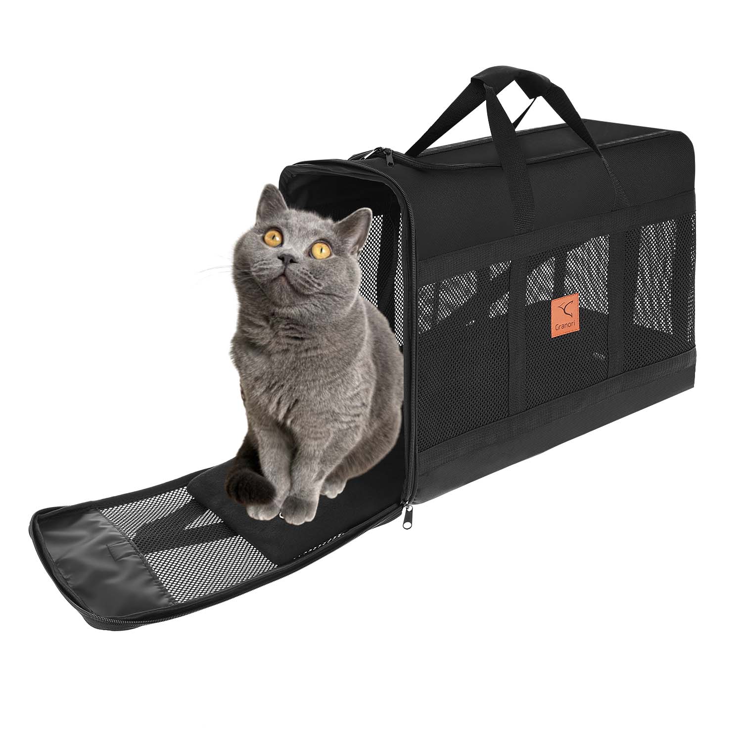 Katzentransportbox 55 x 40 x 23 cm für Flugzeugkabine